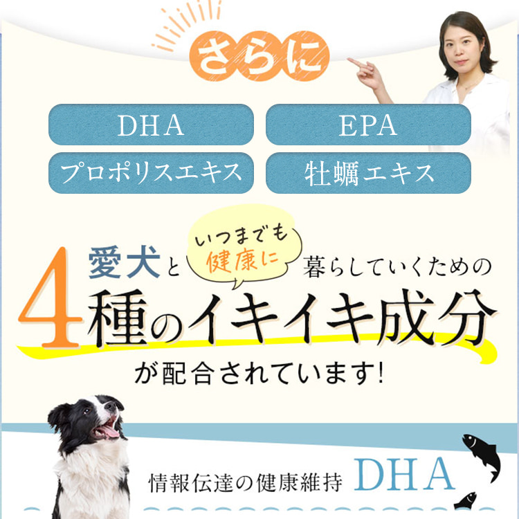 犬 ストレス サプリ 夜鳴き 分離不安 落ち着く シニア GABA テアニン