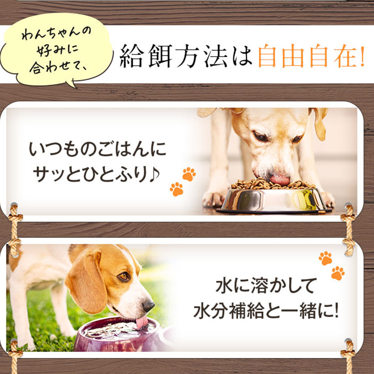 犬 ストレス サプリ 夜鳴き 分離不安 落ち着く シニア GABA テアニン