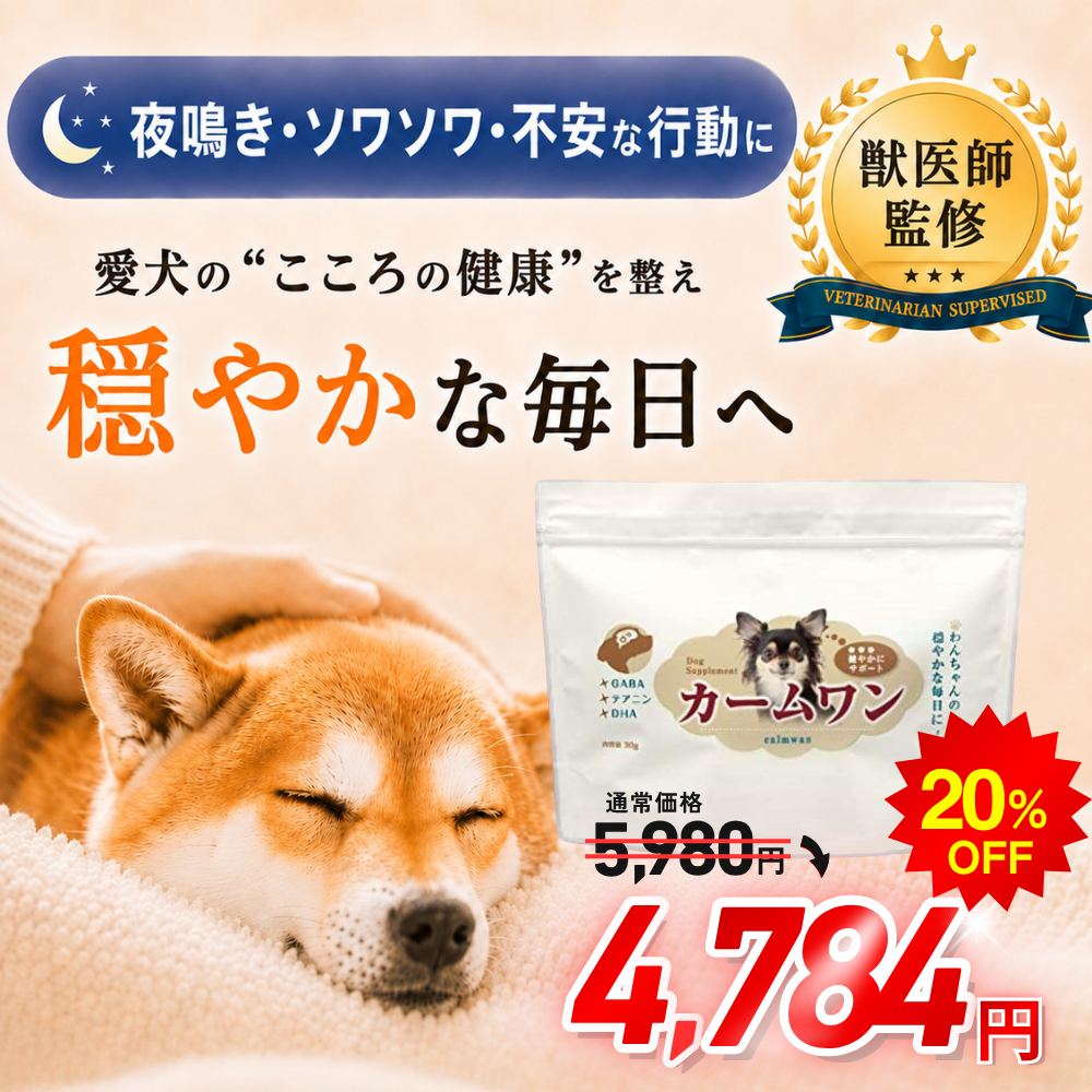 犬 ストレス サプリ 夜鳴き 分離不安 落ち着く シニア GABA テアニン