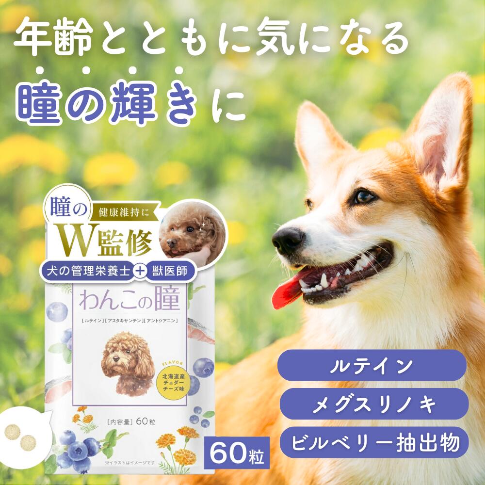 犬 目 サプリ サプリメント アイケア 国内製造 無添加 涙やけ ルテイン アスタキサンチン アントシアニン ビルベリー 60粒 わんこの瞳 わんちゃんライフ