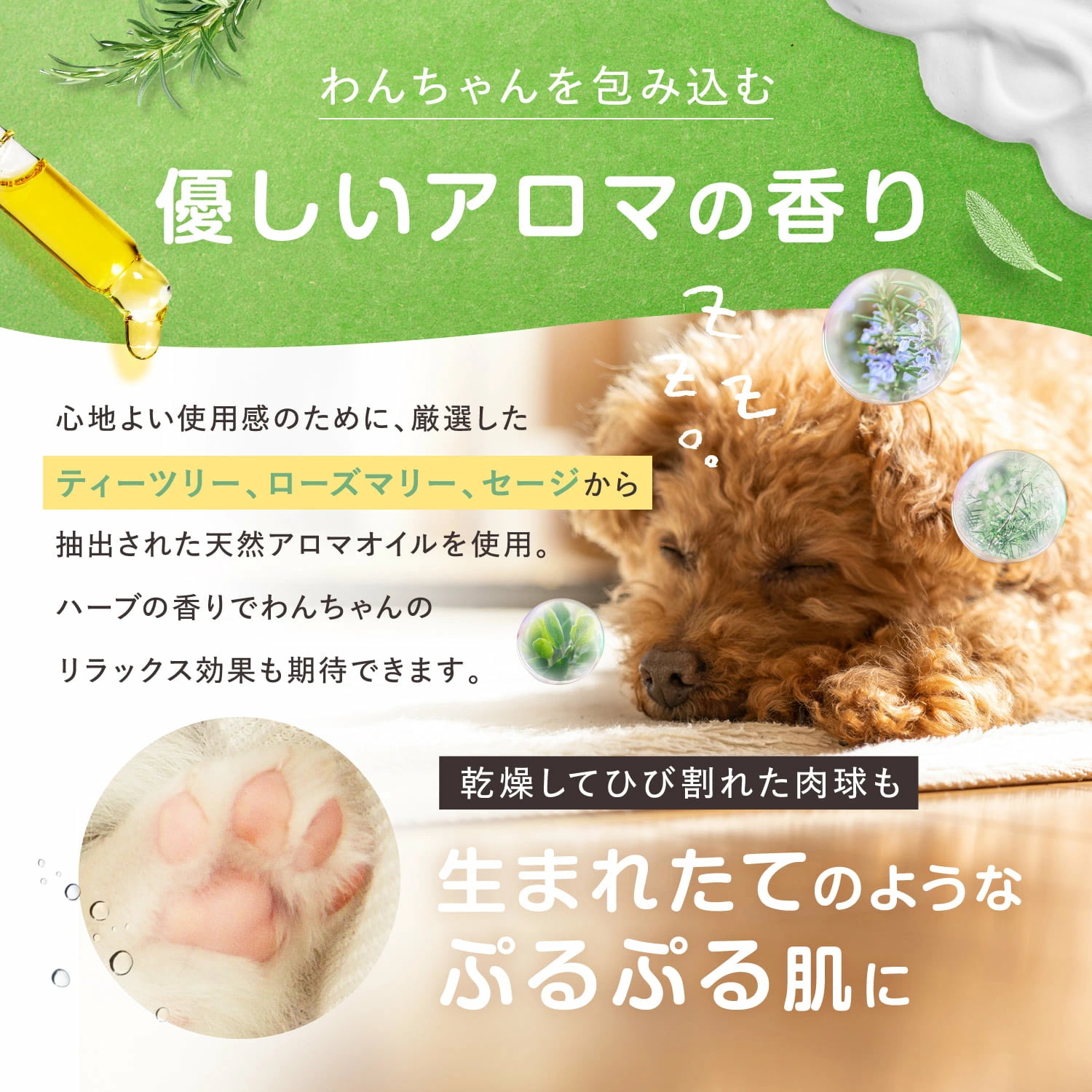 ちゃん 　優しい泡のわんこシャンプーマシン 71b9DNa2bqL._UF894,1000_QL80_.jpg