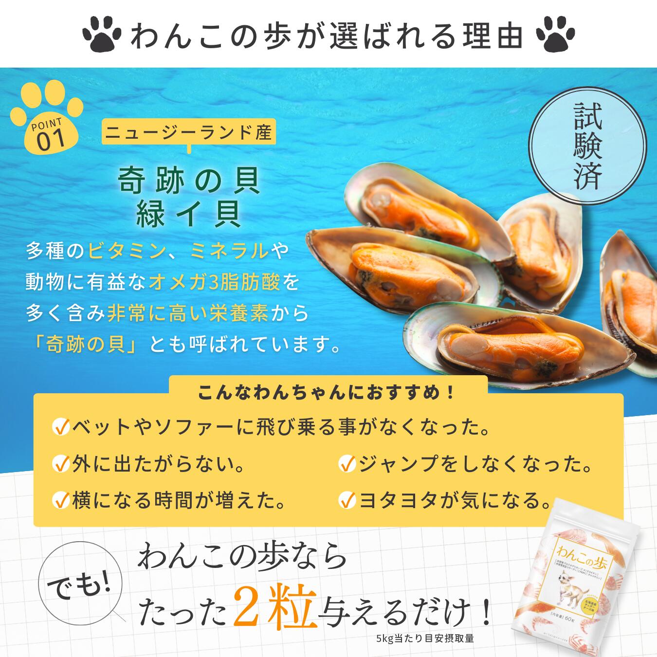 わんこの歩は奇跡の貝「緑イ貝」を使用しています