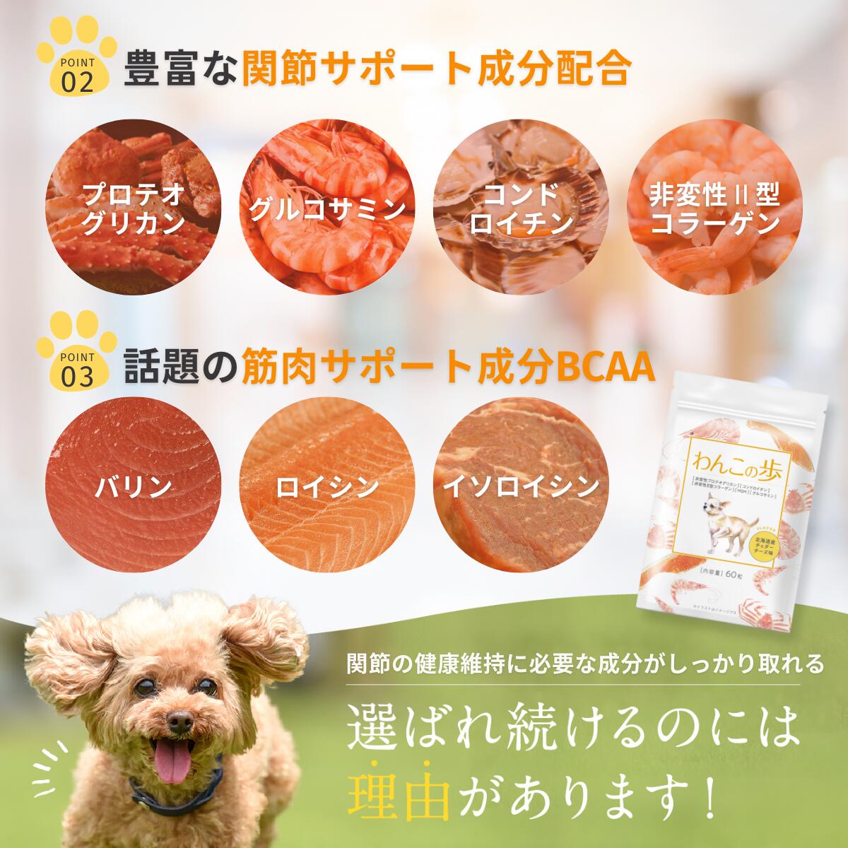 わんこの歩は豊富な関節サポート成分を配合。話題の筋肉サポート成分「BCAA」も配合