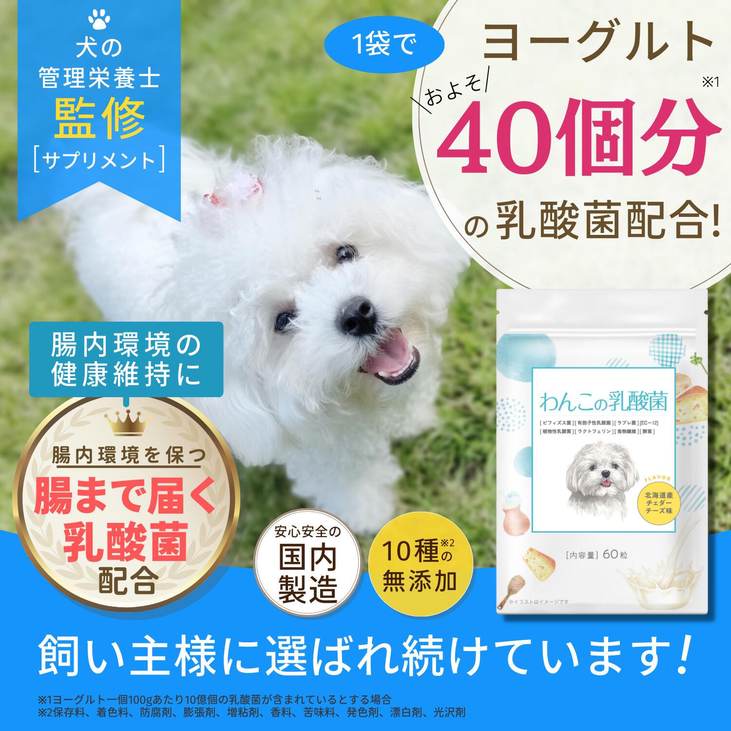 愛犬用の乳酸菌サプリメントは10種の無添加製造