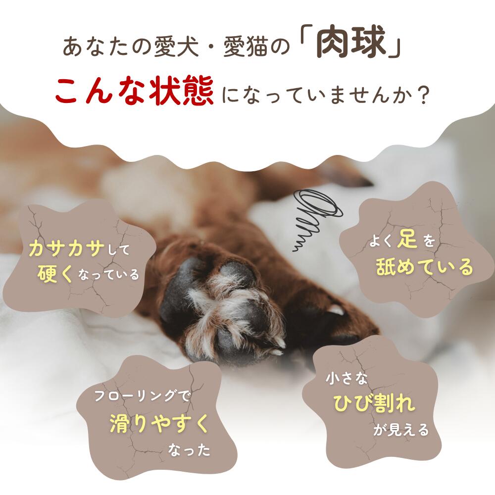 mitoro-s44.jpg
