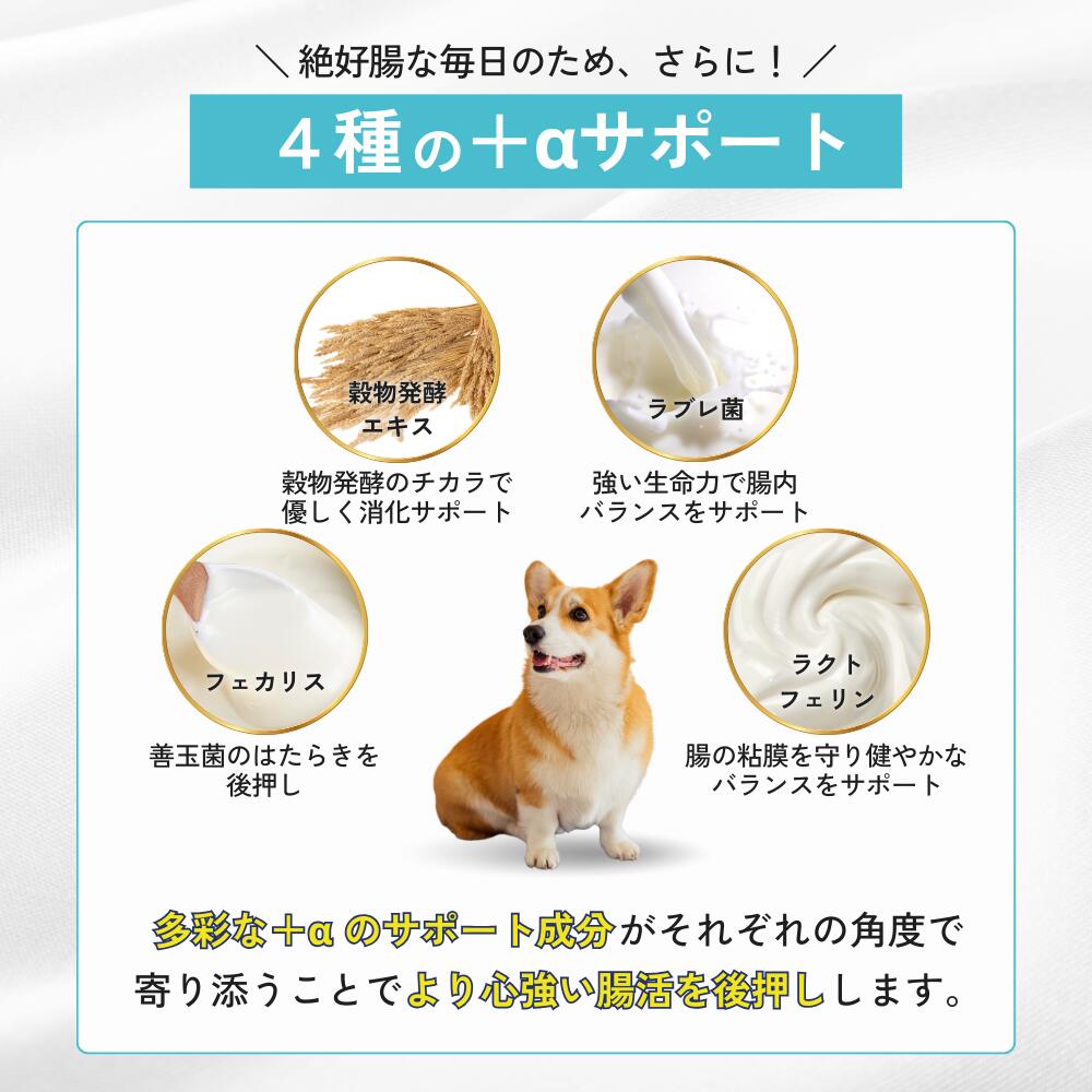 犬 乳酸菌 サプリ サプリメント 免疫 胃腸 腸内環境 整える 無添加