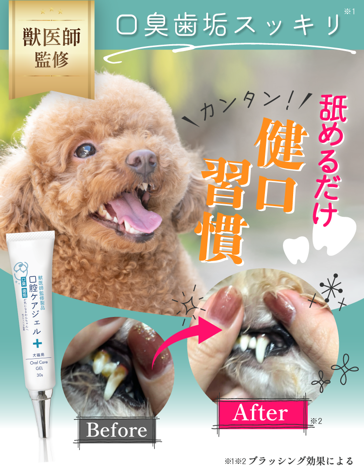 犬 歯磨き ジェル 口臭 歯垢 わんちゃんライフ 無添加 歯磨きペースト