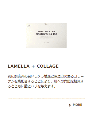 送料無料 テクノエイト ／ ラメラコラーゲル 100g オールインワン乳液