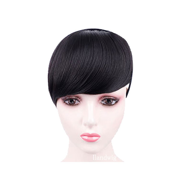 カチューシャ付 前髪ウィッグ エクステ 三つ編みカチューシャ ヘアバング シースルーバング ぱっつん前髪 ウイッグ エクステンション 付け毛 つけ毛 MG 004 |  | 26