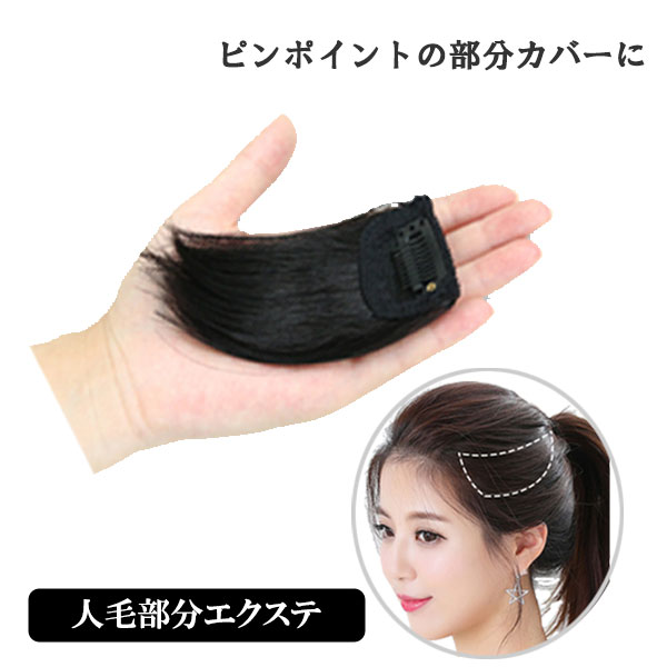 人毛エクステ ミニサイズ ピンポイント 部分ウィッグ エクステ