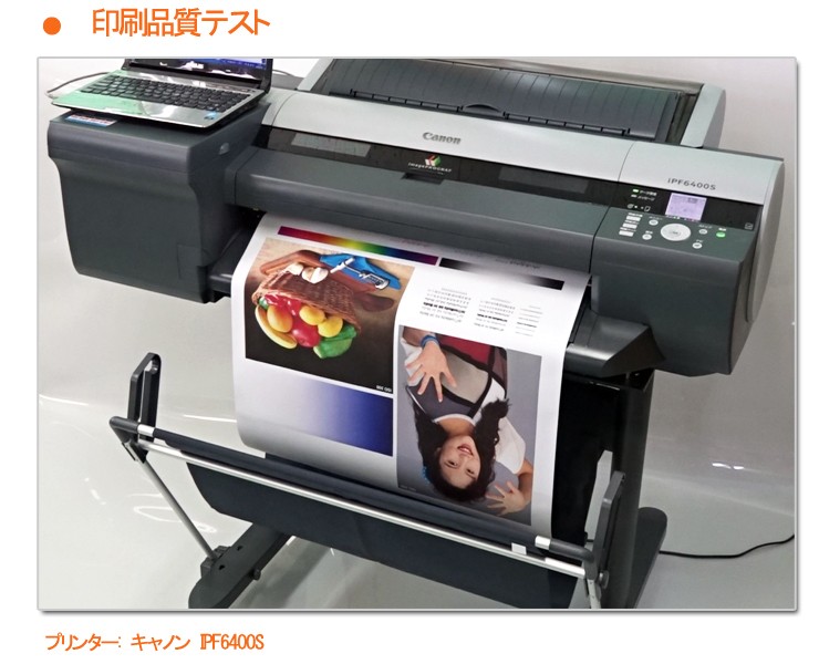 在庫目安：僅少】 EPSON EPPP9024 SureColor用 普通紙ロール<厚手>/ 約610mm幅×50m（2本入り）/ 24インチ  PafoQFEqNK, DIY、工具 - centralcampo.com.br