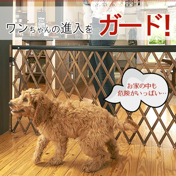 evenflo イーブンフロー エクスパンション ウォークスルー ゲート