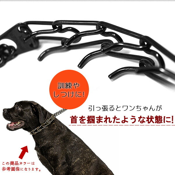 ハームスプレンガー トレーニング スパイクカラー 25インチ ブラック