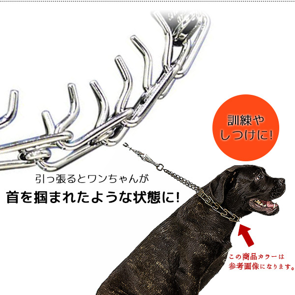 ゆうパケット対応/ハームスプレンガー トレーニング スパイク