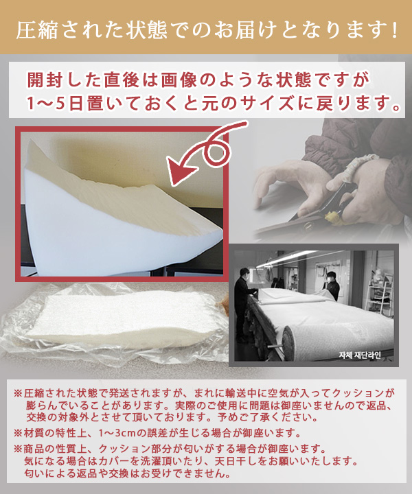 Chocopethouse ノンスリップ ステップ 2.0 ワイド 滑らない ペット