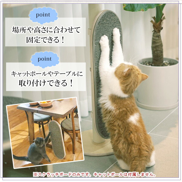 TYO キャンペーンオリジナル●ときめきキャットボールペン2本 TYO キャンペーンオリジナル○ときめきキャットボールペン2本