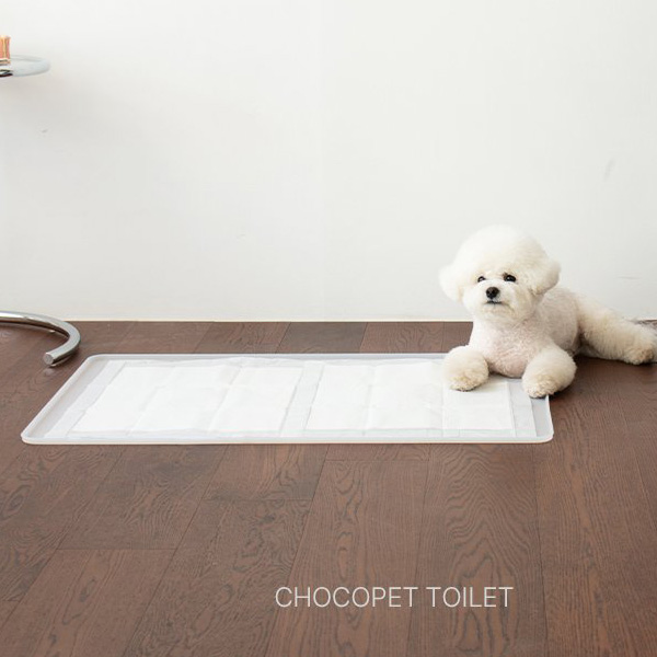 最終値下げ　フェレット　トイレ　専用防水マット imgrc0323323879.jpg