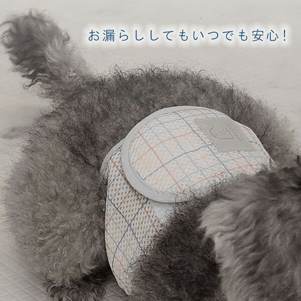 youzpet/WOW/ 男の子用 チェック マナーベルト セット Mサイズ おむつ