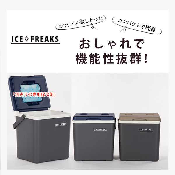 クーラーボックス 小型 アイスフリークス Day+ 14L おしゃれ ミニ