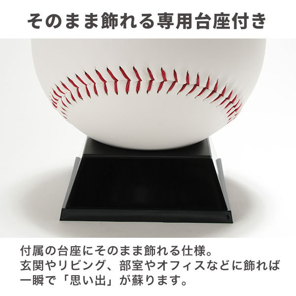 レビューで6ヶ月保証 野球 ドデカサインボール 台座付き 直径約18cm