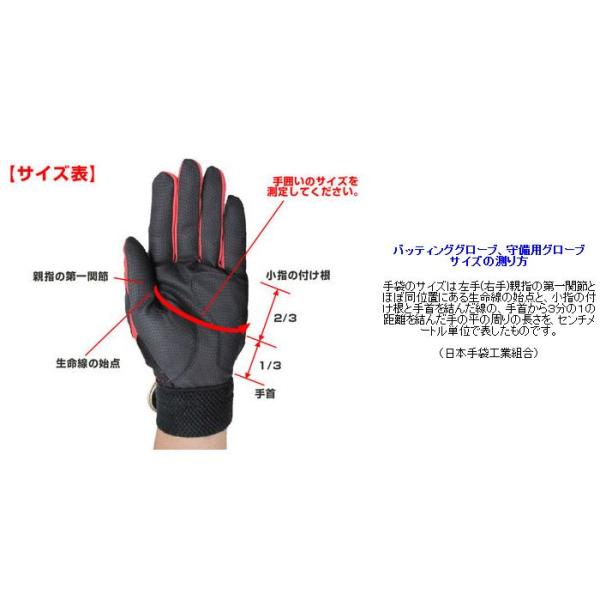 MIZUNO（ミズノ） トレーニンググローブ 野球 ミズノプロ 両手用 一般