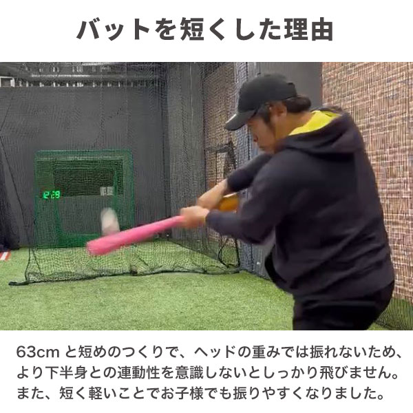 レビューで6ヶ月保証 野球 インフィニティバット・ミニ 木製バット