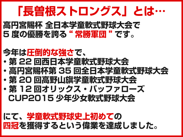 野球 バッティング用スウィングチェアー フォーム矯正 スイング