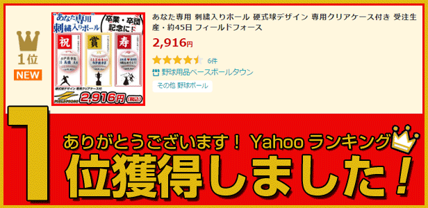 野球 あなた専用 刺繍入りボール 硬式球デザイン 専用クリアケース付き 受注生産・約60日 フィールドフォース :ff-sb:野球用品ベースボールタウン  - 通販 - Yahoo!ショッピング