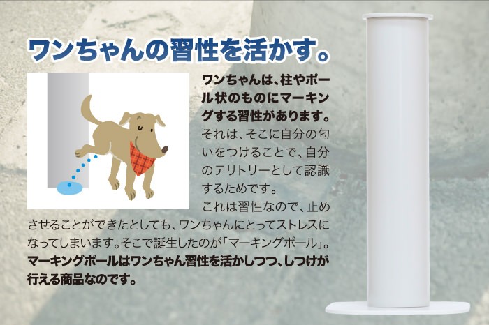 犬 トイレトレーニング マーキング ポール しつけ 男の子専用ポールトイレ マーキングポール ホワイト ディーシーコンフォート 通販 Yahoo ショッピング