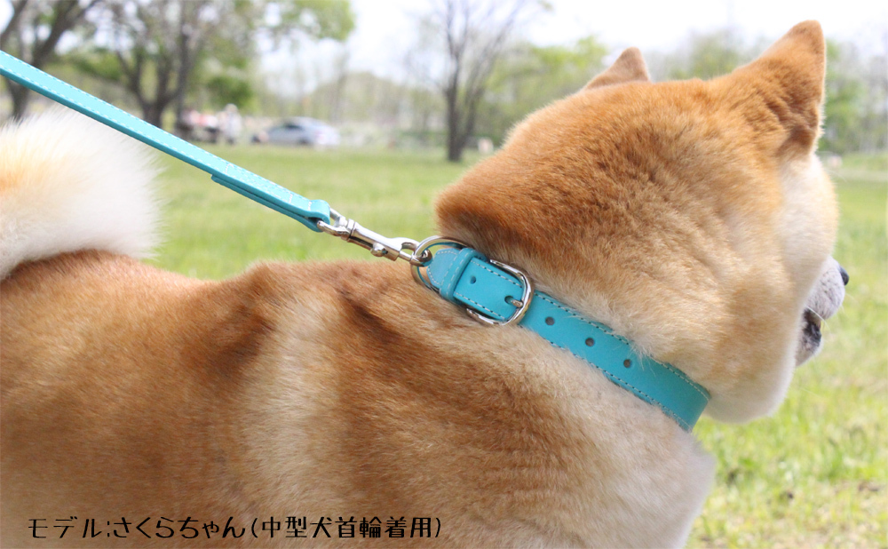 首輪&リード 超小型犬 お得セット 本革 幅12mm ターコイズブルー色 首