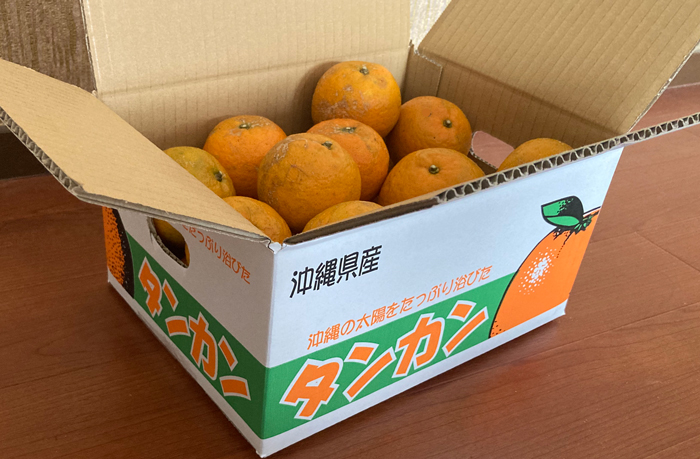 タンカン 3キロ 名産伊豆味沖縄産 たんかん みかん 桶柑 白箱贈答