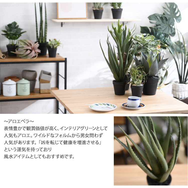 観葉植物 フェイクグリーン ボタニカル 造花 おしゃれ ポット 小さい インテリア 癒し リラックス Brown. ブラウン アロエベラ ポット 48