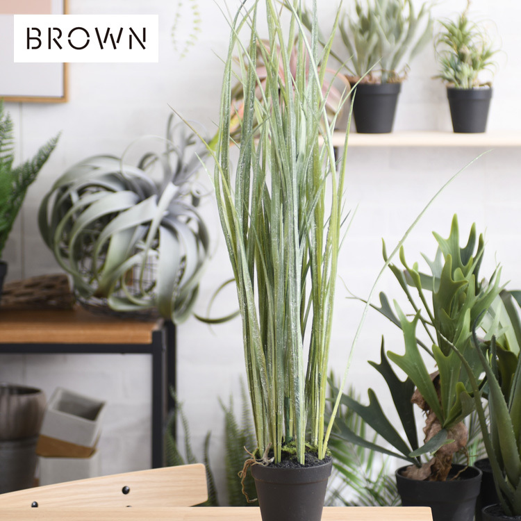 観葉植物 フェイクグリーン インテリアグリーン Brown. ブラウン