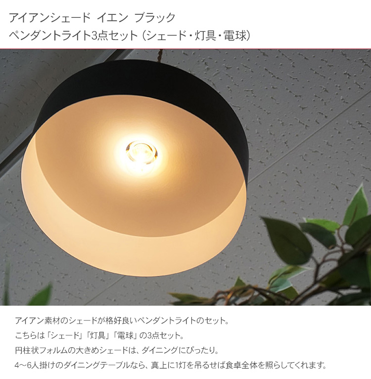 天井照明 インテリア照明 照明器具 北欧 インテリア アイアン 