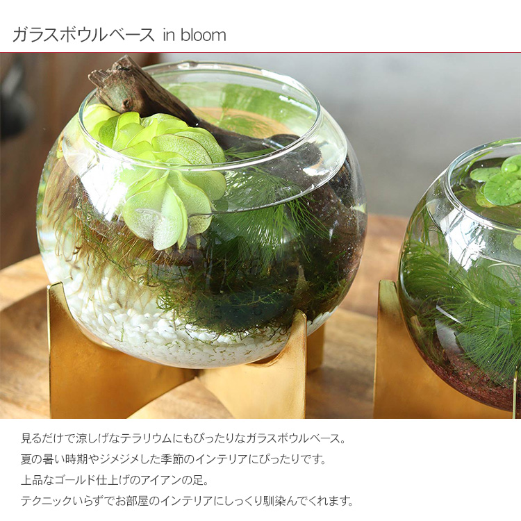 フラワーベース ガラ花瓶 ガラスボール 花器 小物入れ おしゃれ