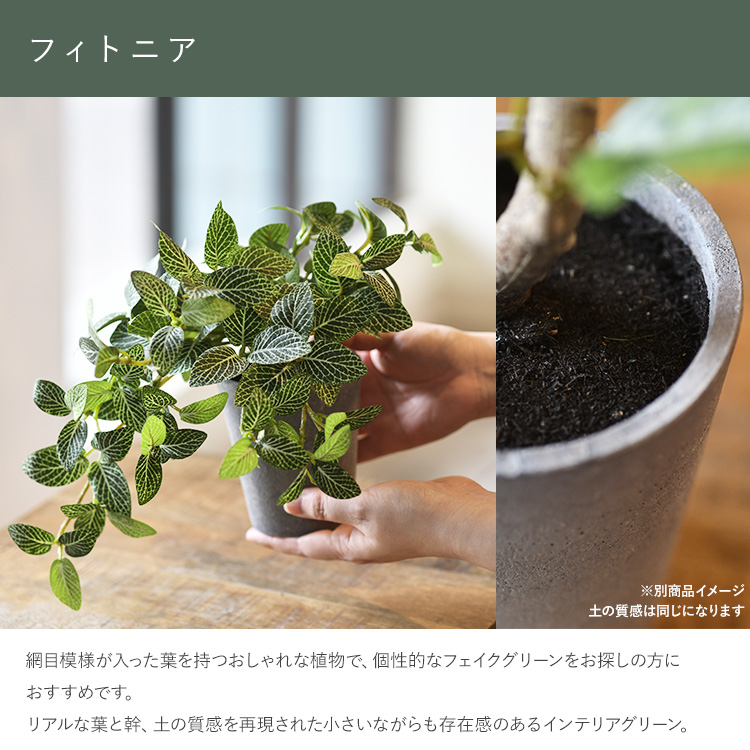 観葉植物 フェイクグリーン インテリアグリーン リラックス 癒し 造花