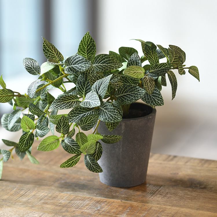 観葉植物 フェイクグリーン インテリアグリーン リラックス 癒し 造花