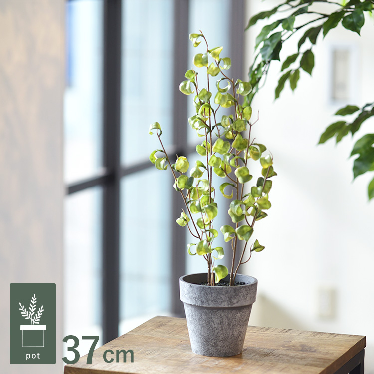 観葉植物 フェイクグリーン インテリアグリーン リラックス 癒し 造花