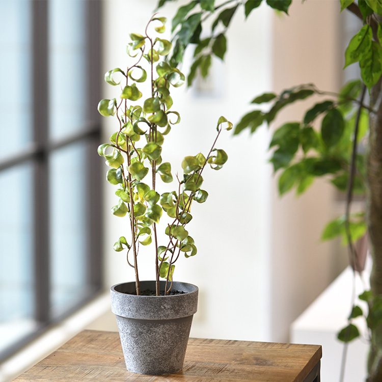 観葉植物 フェイクグリーン インテリアグリーン リラックス 癒し 造花