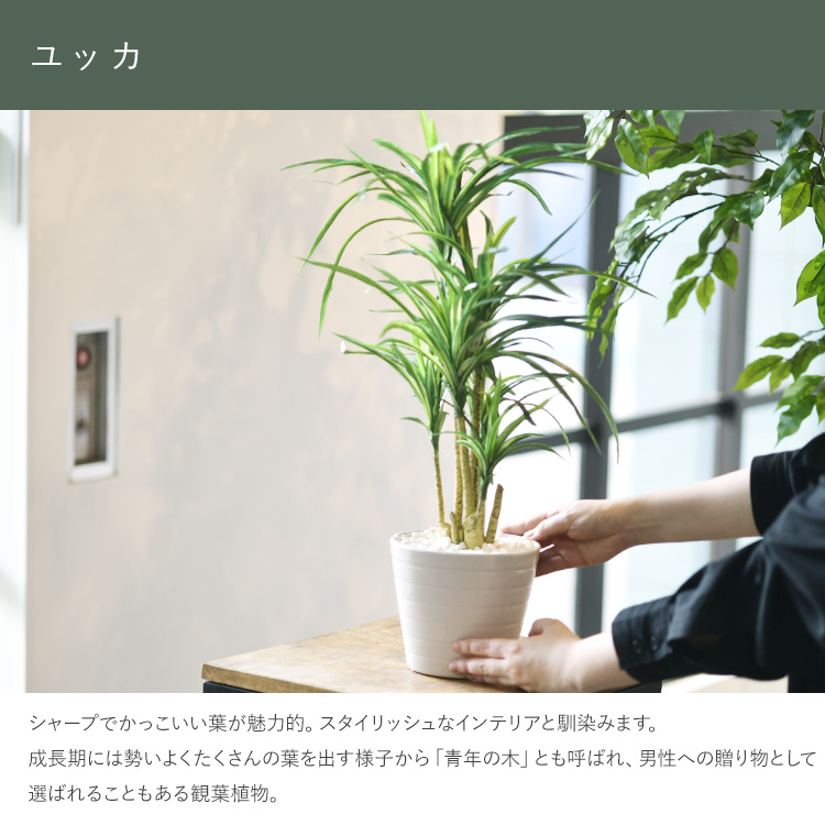 観葉植物 フェイクグリーン インテリアグリーン リラックス 癒し 造花