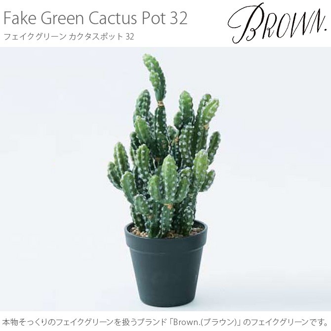 観葉植物 フェイクグリーン ボタニカル ディスプレイ インテリア 多肉