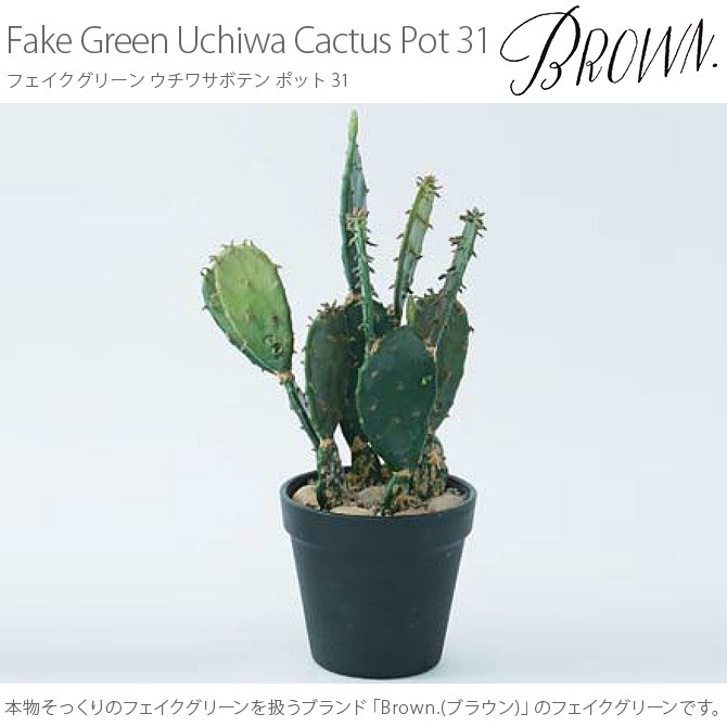 光触媒　人工観葉植物　ウォールグリーン　フェイクグリーン　ウチワサボテンz 光触媒 人工観葉植物 ウォールグリーン フェイクグリーン ウチワ