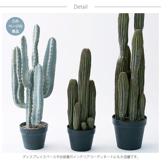観葉植物 フェイクグリーン インテリアグリーン 多肉植物 サボテン