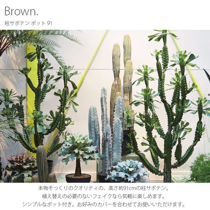 観葉植物 フェイクグリーン インテリアグリーン 多肉植物 Brown