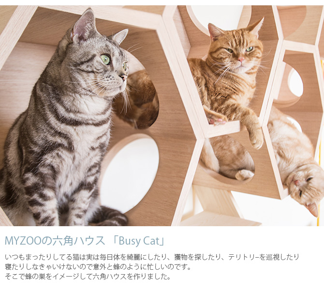 MYZOO マイズー Busy cat 六角ハウス Wood ウッド 48-5TPK-YYFC 猫 キャットステップ キャットウォーク 六角 木製 無垢材 シンプル MY ZOO 壁掛け 北欧 