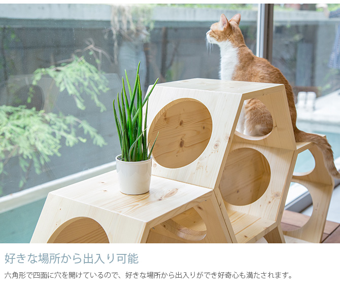 MYZOO マイズー Busy cat 六角ハウス Wood ウッド 48-5TPK-YYFC 猫 キャットステップ キャットウォーク 六角 木製 無垢材 シンプル MY ZOO 壁掛け 北欧 