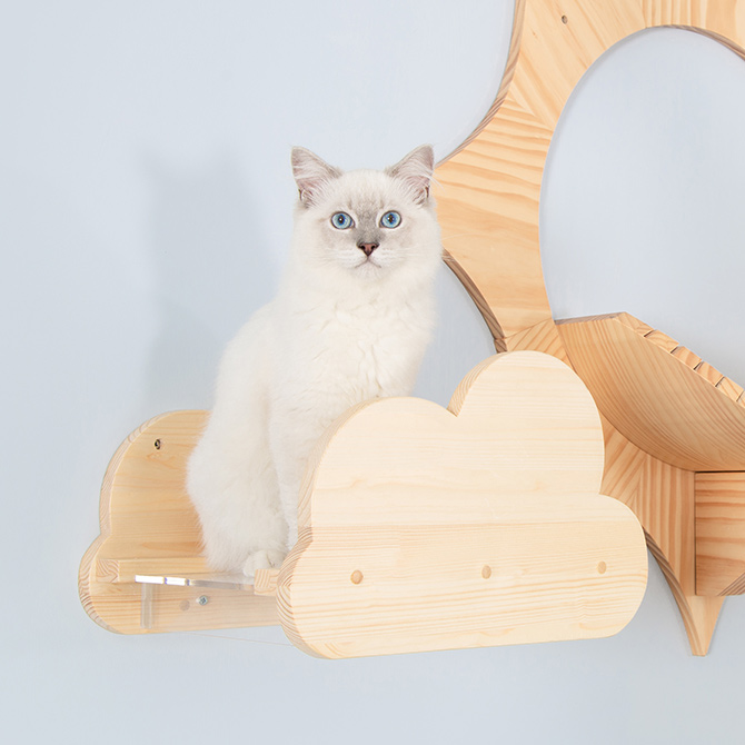 猫 キャットステップ キャットウォーク 壁付け 壁掛け MYZOO マイズー