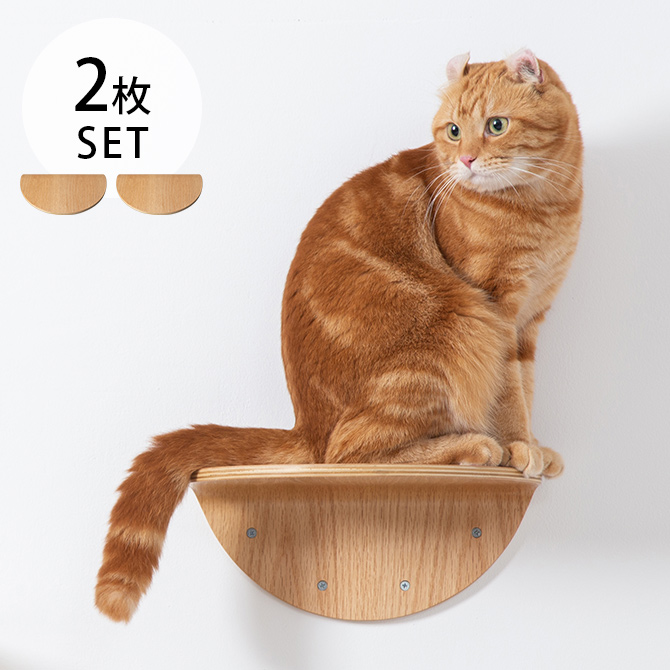 猫 キャットステップ キャットウォーク 壁付け 壁掛け MYZOO マイズー