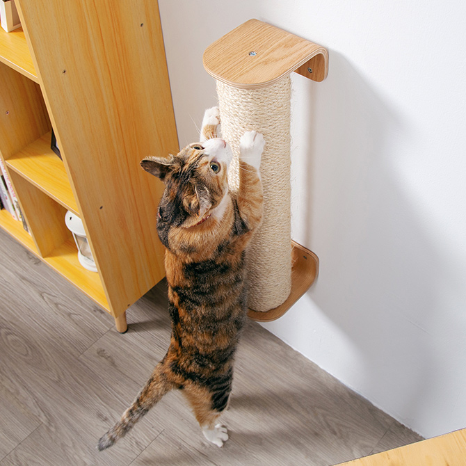 猫 爪とぎ キャットウォーク つめとぎ ツメトギ MYZOO マイズー