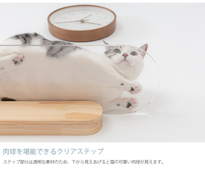 猫用 キャットステップ キャットウォーク 壁付け 壁掛け MYZOO